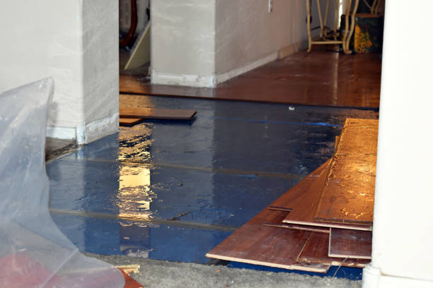 Professional Basement Flood Cleanup technician working in Rockford, IL